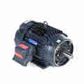 Leeson 10Hp General Purpose Motor, 3 Phase, 3600 Rpm, 230/460 V, 215Tc Frame, Tefc LM16755